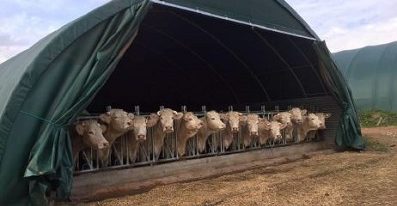 un tunnel d’élevage agricole