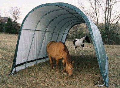 Abri pas cher pour les chevaux : le tunnel d'élevage à prix réduit !