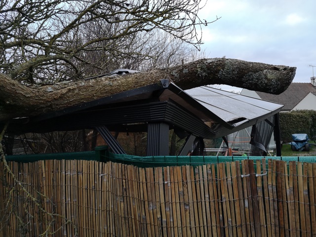 tempête Kirk et sinistre dans un jardin