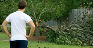 tempête Kirk et abri de jardin : nos conseils