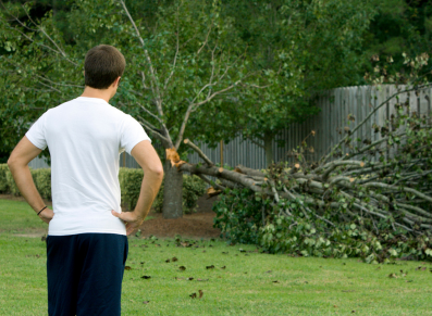 tempête Kirk et abri de jardin : nos conseils