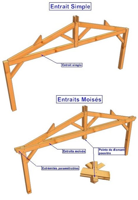 entraits moisés ou à moisement sur l'abri charpente ?