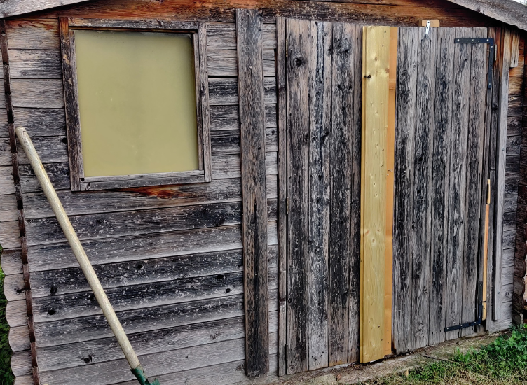 un abri de jardin bois mal entretenu