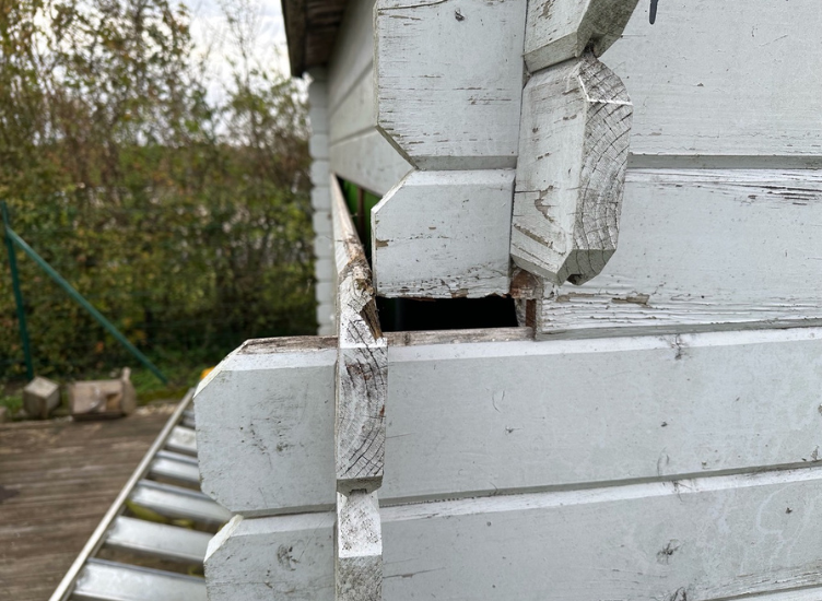 l'ennemi des cabanons de jardin ? le vent !